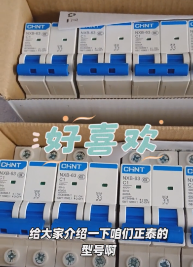 Chint circuit breaker NXB63-2P-C1A