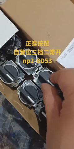 Chint Push Button NP2-BD53