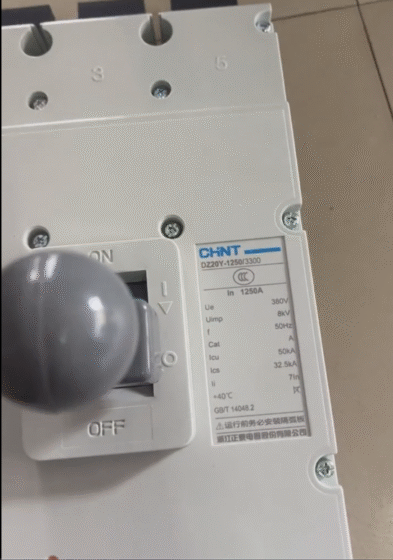 Chint DZ20Y-1250/3300-1250A