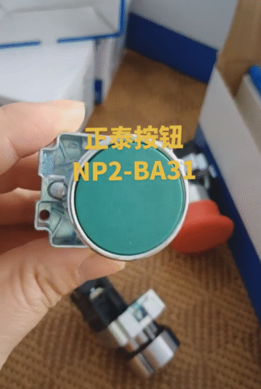 Chint Push Button NP2-BA31