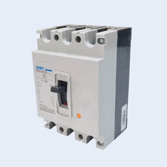 Chint transparent-casing NM10-100/3300-100A circuit breaker