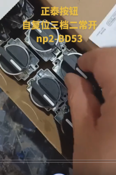 CHINT Button NP2-BD53