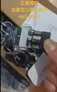 Chint Push Button NP2-BD53