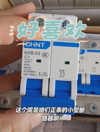 Chint NXB63-2P/C1 miniature circuit breaker