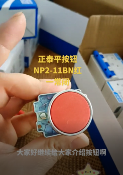 CHINT Push Button NP2-11BN