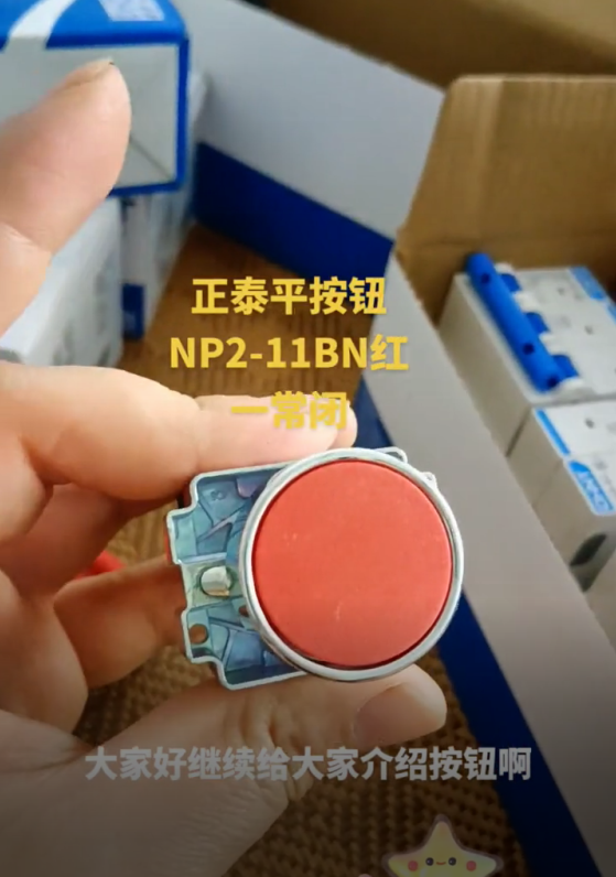 CHINT Push Button NP2-11BN