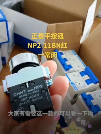 CHINT Push Button NP2-11BN