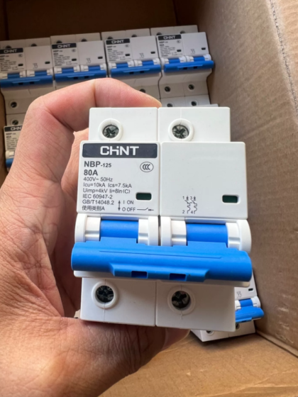 Chint NBP125-2P/80A Circuit Breaker
