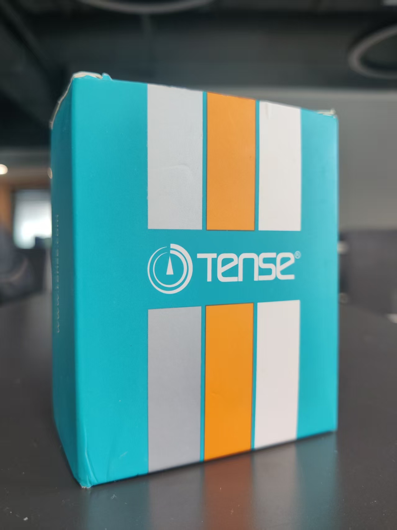 TENSE DGK-04F Control Relay