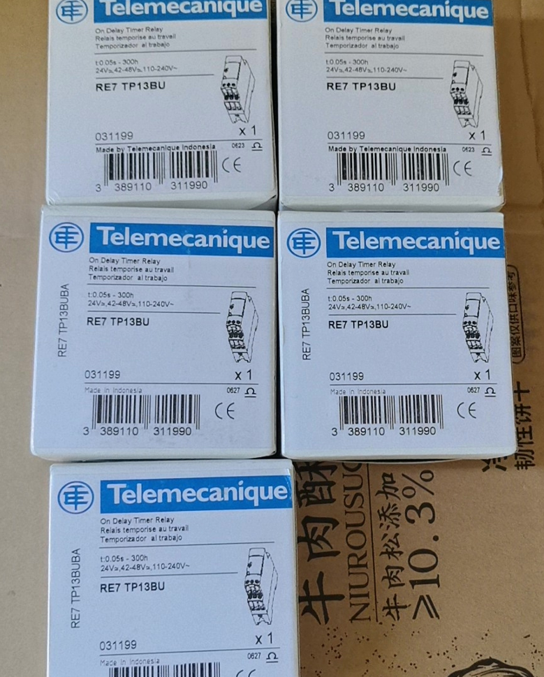 Schneider RE7TP13BU Time-Delay Relay